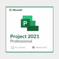 office 2019 project